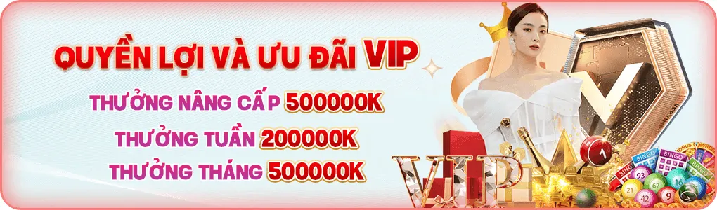quyền lợi và ưu đãi vip tại 888to com